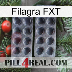 Filagra FXT 31